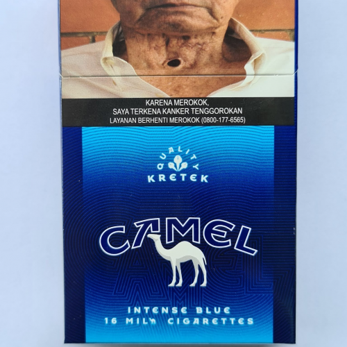 CAMEL BLUE MILD 16