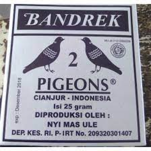 BANDREK 2 MERPATI (25)