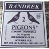 BANDREK 2 MERPATI (25)