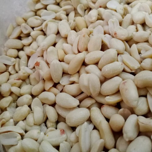 KACANG KUPAS 5 ONS (10)