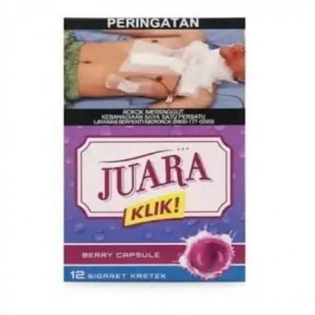 JUARA KLIK 12 BERRY (10)