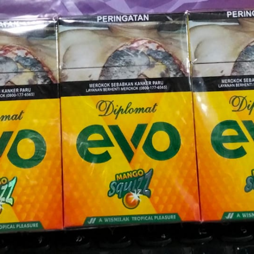 EVO  MANGO 16 BTG (10)