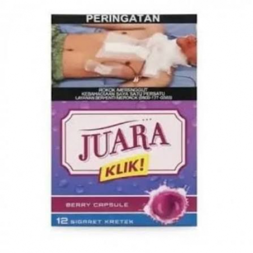 JUARA KLIK 12 BERRY (10)