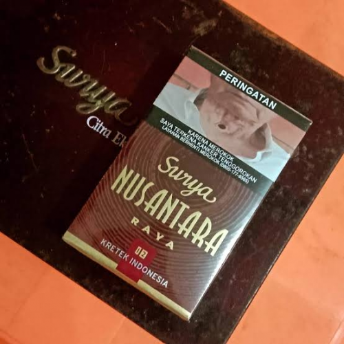 GG SURYA NUSANTARA 12 (10)