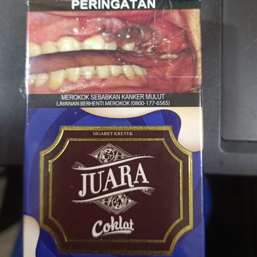 JUARA COKLAT (10)