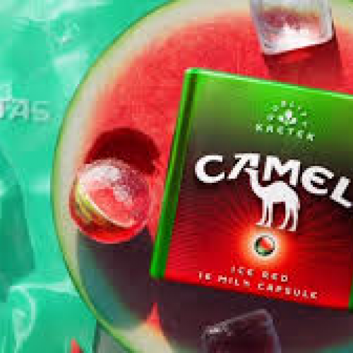 CAMEL ICE WATERMELON