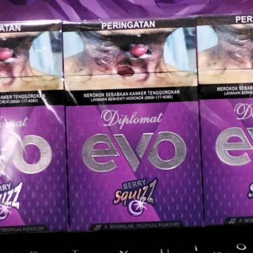 EVO  BERRY 16 BTG (10)