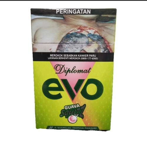 EVO  GUAVA 16 BTG (10)