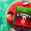 CAMEL ICE WATERMELON